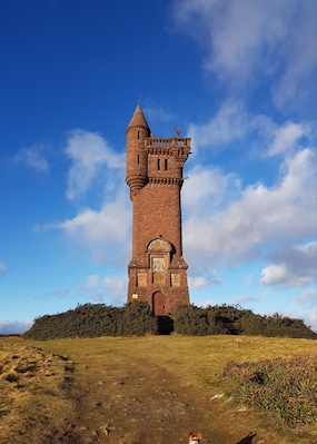 The Airlie Monument was built in 1901 to commemorate David Ogilve, the 9th Earl of Airlie, who died at the Battle of Diamond Hill in South Africa. Its located between Glen Prosen and Glen Clova in Kirriemuir. 
The walk starts through the forest and then opens up onto moorland which you can walk further for. Great walk, kind of steep at points but amazing for our dogs. If you can, go back to the start where you will of passed a stone memorial called 'Scott-Wilson memorial'. It's definitely worth a visit!