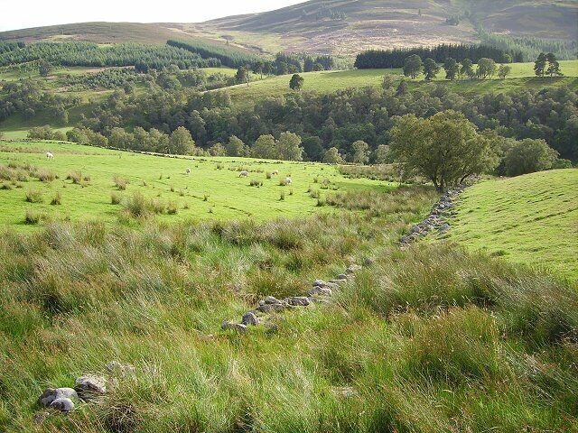 A green valley with a stone wall, grassy fields, and scattered trees.