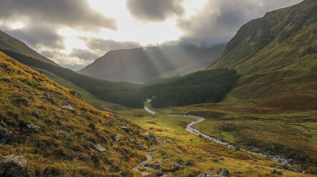 This is Jock's Road, looking back towards Glen Clova carpark. At the top of this hill there is a small shelter/hut with a red door.
You can hike the Tomount and Tom Buidhe Munros from here