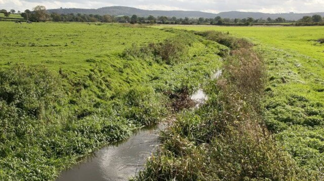 River Gowy and its plain near Huxley The River Gowy and its plain looking to the Peckforton Hills where it rises close to the source of the River Weaver. While the Weaver flows south initially, the Gowy flows north and for several miles provides the valley used by the Shropshire Union Canal. It runs just to the east of Chester and passes under the Manchester Ship Canal to meet the Mersey near Stanlow.