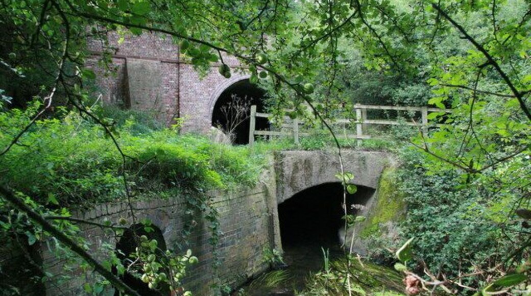 Shropshire Union Canal crossing River Gowy: This is a small aqueduct where the Shropshire Union Canal crosses the River Gowy near Huxley in Cheshire. It can't be seen from the canal bank but is quite a fine example of a small but complex intersection of two different waterways.