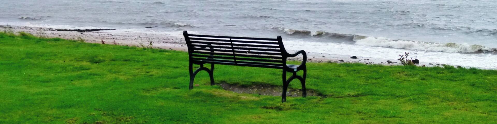 A bench by a beach with waves crashing onto the shore.