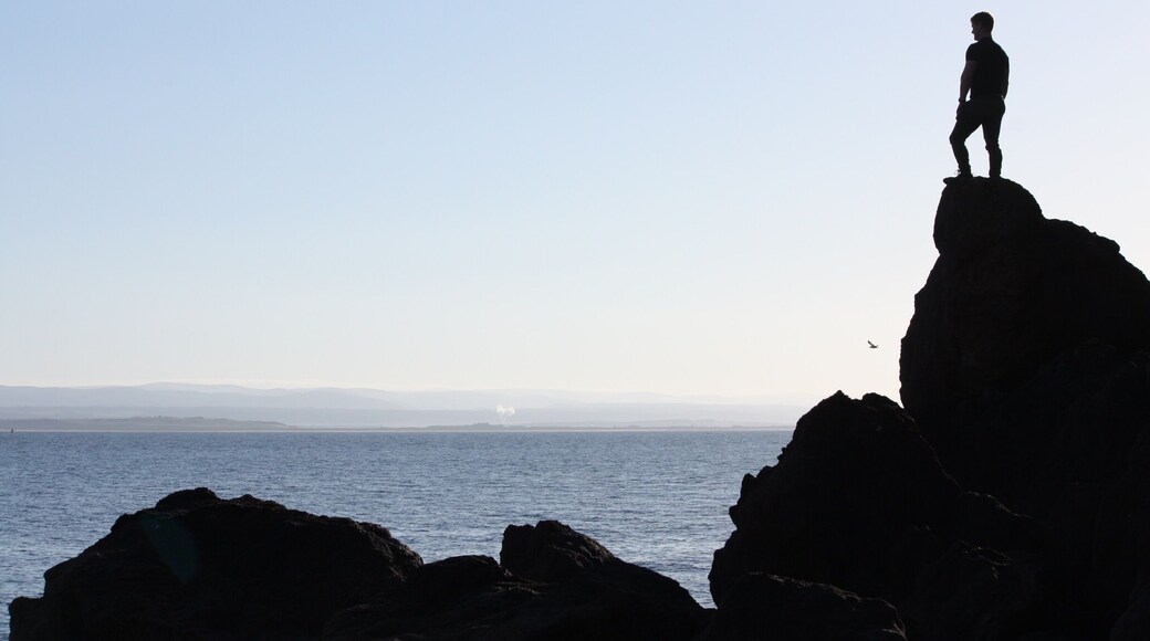 📍Seaside, Cromarty.
Whilst visiting the marvellous MacFarquhar’s Bed nearby, i took the the time to go dolphin 🐬 spotting 🔭, unfortunately it wasn’t my lucky day. Other sealife spotted in the Cromarty Firth include seals, pilot whales and basking sharks 🦈 .