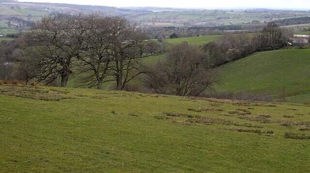 Valley of the North Gill Near Ainstable. Looking out towards the Eden valley.