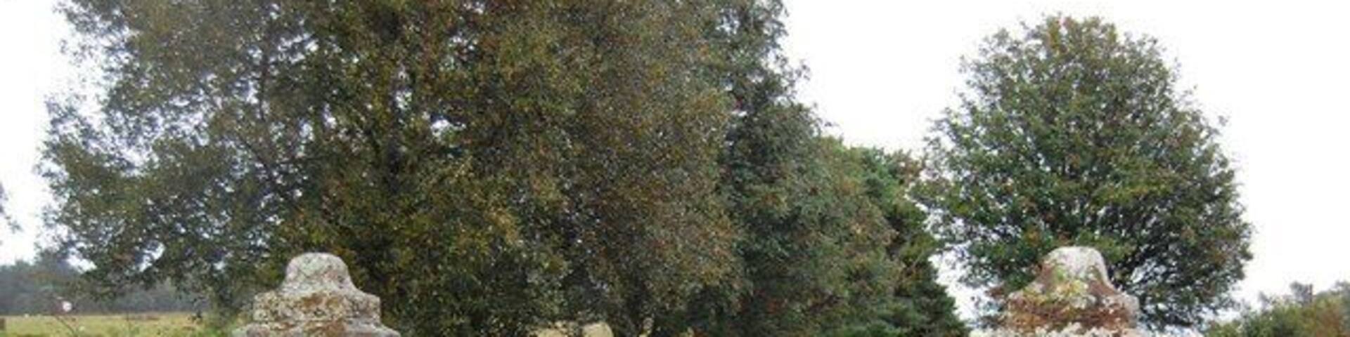 Entrance to Broom Rigg