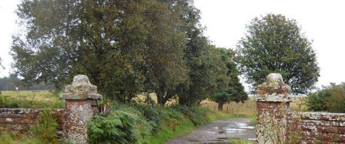 A rural road with a brick wall and stone pillars, surrounded by trees and grass.