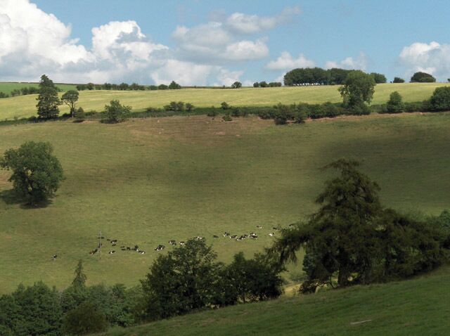 Northgill Bank. Looking across North Gill's valley.