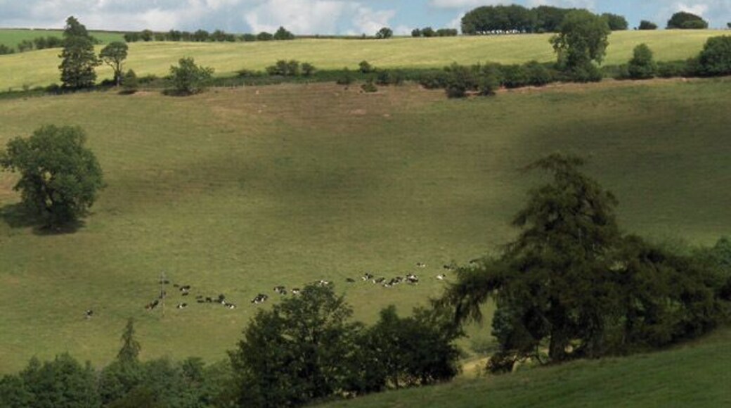 Northgill Bank. Looking across North Gill's valley.