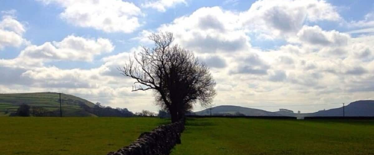 A stone wall, a leafless tree, and a grassy field under a partly cloudy sky.
