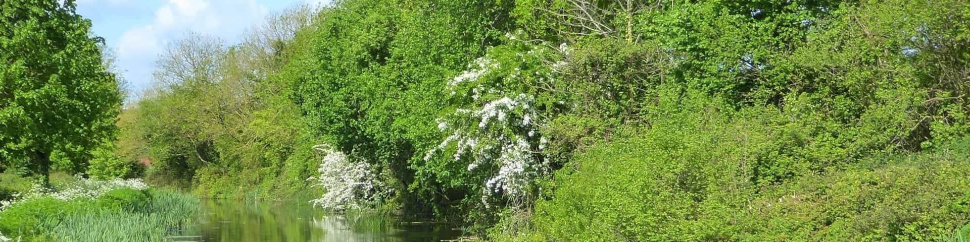Tow path that runs alongside the Canal and offers superb views of the glorious Devon countryside and wildlife.