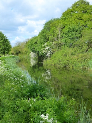 Tow path that runs alongside the Canal and offers superb views of the glorious Devon countryside and wildlife.