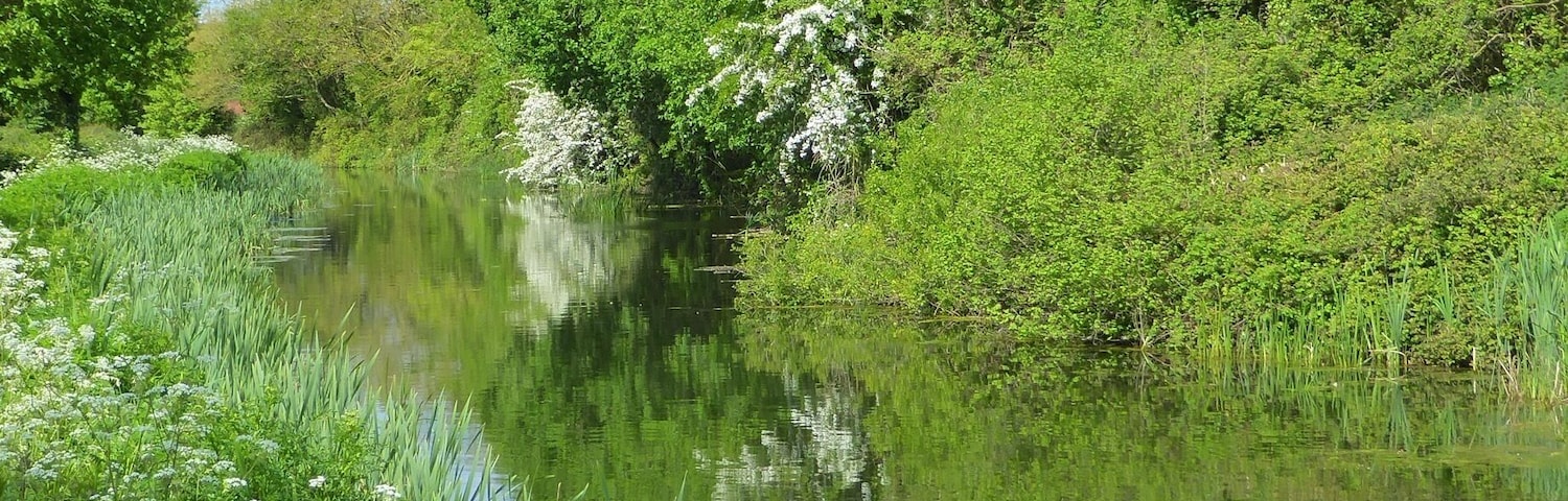 Tow path that runs alongside the Canal and offers superb views of the glorious Devon countryside and wildlife.