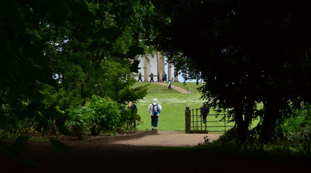 Another nice walk around Hardwick Park !