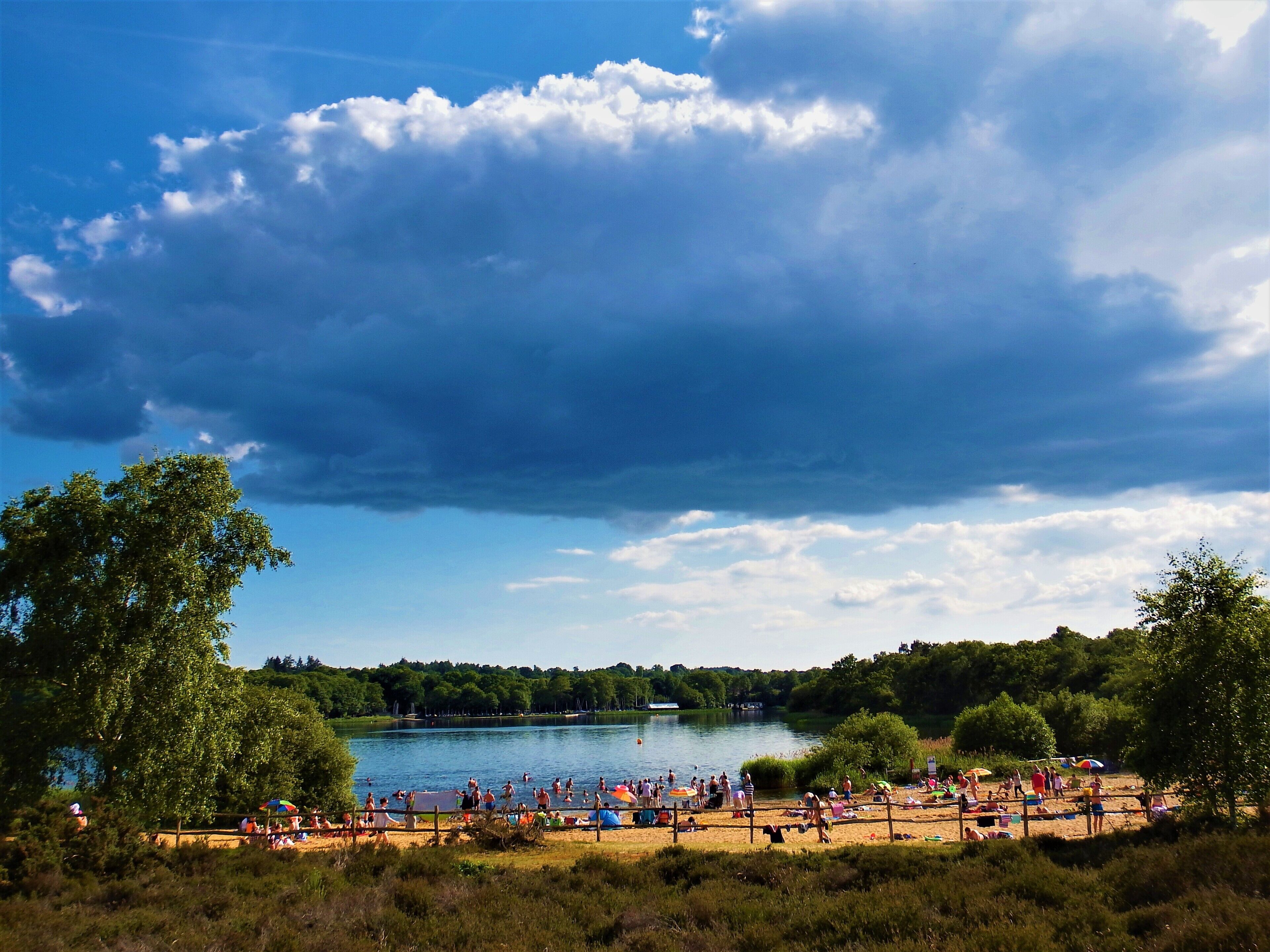 Surrey has no coastline, but it does have a beach at Frensham Pond.  Only small but  nevertheless popular, it is on National Trust land with a large car park.  Unfortunately dogs are banned from the beach, but there is a walking path around the lake.  As you can see, the approaching rain cloud does not put the beach goers off ! #perspective