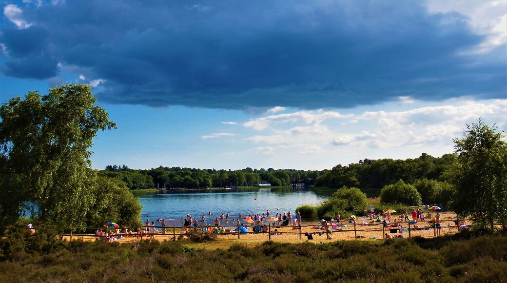 Surrey has no coastline, but it does have a beach at Frensham Pond. Only small but nevertheless popular, it is on National Trust land with a large car park. Unfortunately dogs are banned from the beach, but there is a walking path around the lake. As you can see, the approaching rain cloud does not put the beach goers off ! #perspective