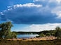 Surrey has no coastline, but it does have a beach at Frensham Pond. Only small but nevertheless popular, it is on National Trust land with a large car park. Unfortunately dogs are banned from the beach, but there is a walking path around the lake. As you can see, the approaching rain cloud does not put the beach goers off ! #perspective