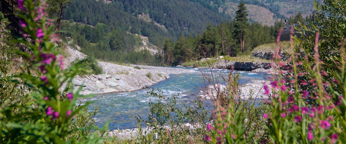 Piedmont which includes wildflowers, tranquil scenes and a river or creek