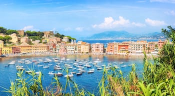 A coastal town with colorful buildings, a marina filled with boats, and a hillside with trees.