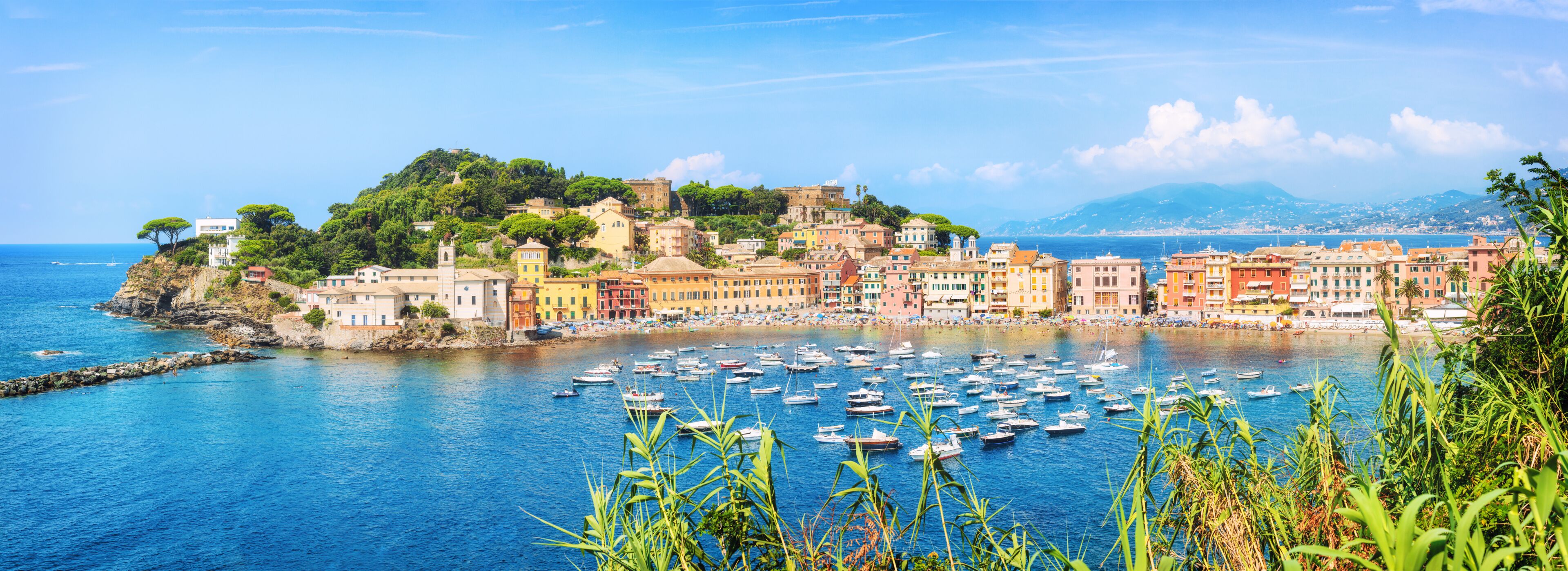 A coastal town with colorful buildings, a marina filled with boats, and a hillside with trees.