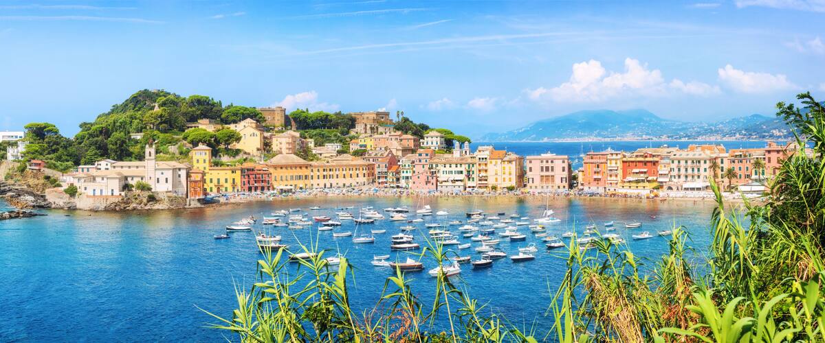 A coastal town with colorful buildings, a marina filled with boats, and a hillside with trees.