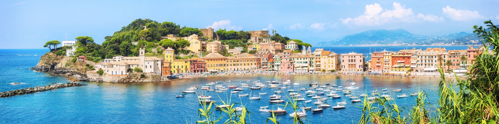 A coastal town with colorful buildings, a marina filled with boats, and a hillside with trees.