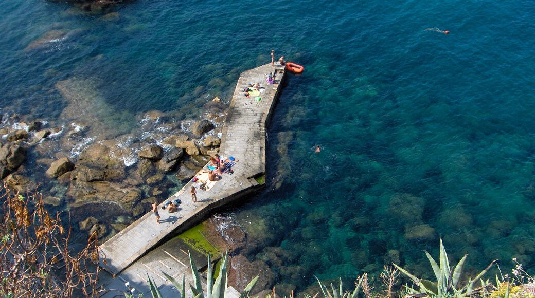 Liguria featuring rocky coastline and general coastal views as well as a small group of people