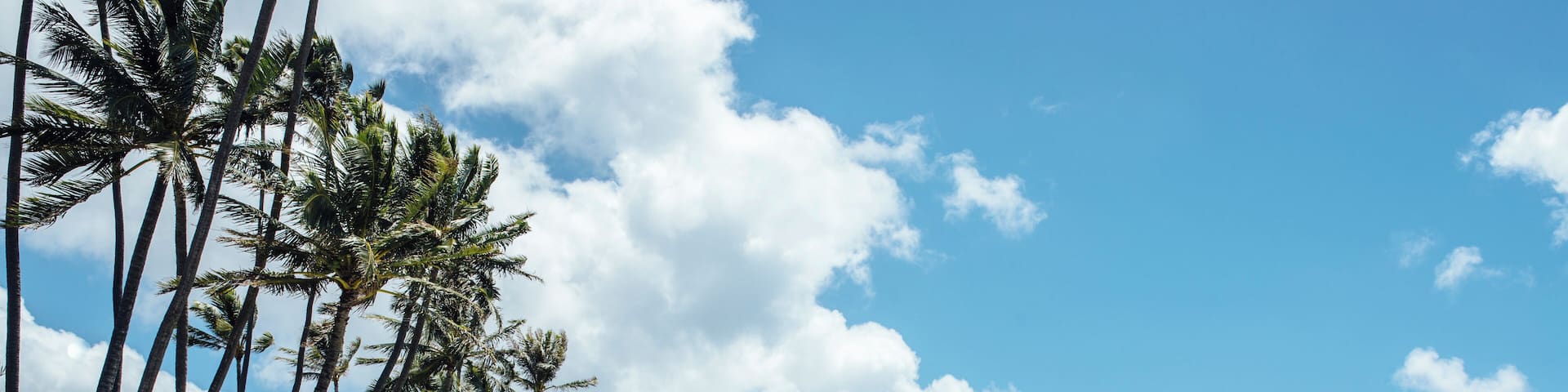 EyeEm Custom Shoots Q4 2018