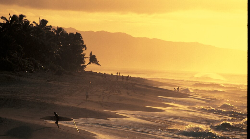 North Shore which includes general coastal views, a sunset and a sandy beach
