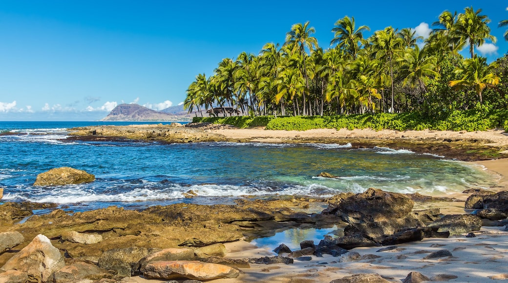 โค โอลินา