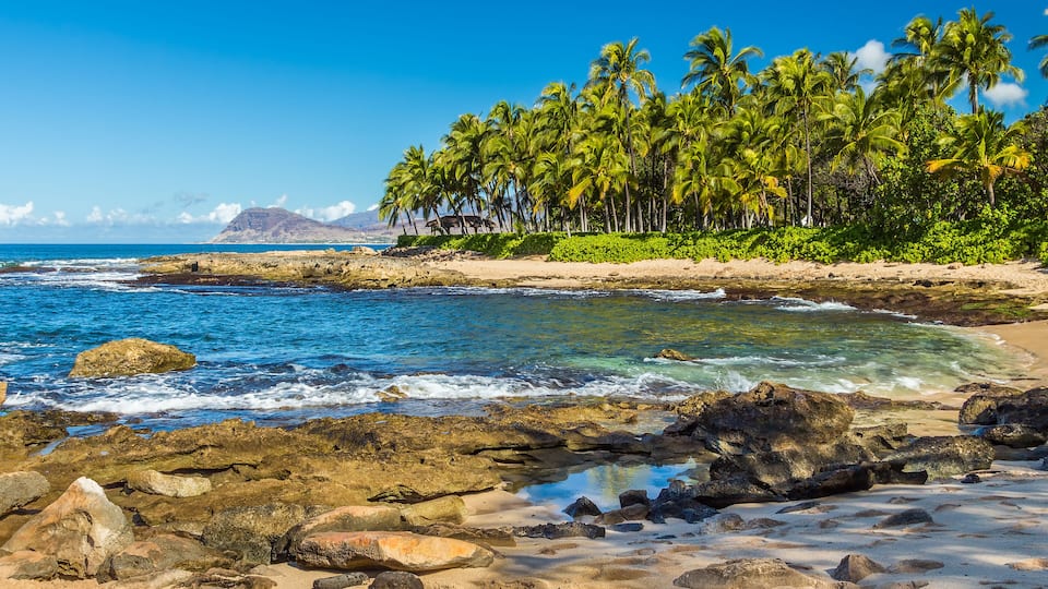 A beach with clear blue water, rocky shore, and palm trees.