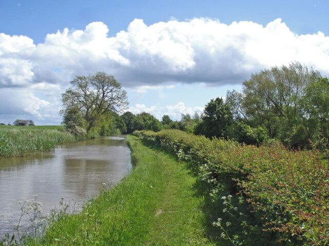 A calm river with a grassy bank and trees.