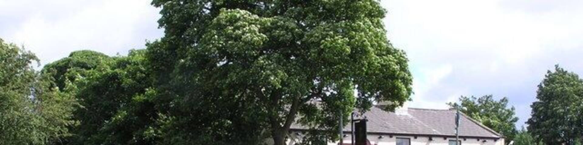 Former canal basin, Chorley Old Road, Whittle-le-Woods With bridge over disused Walton Summit branch of Lancaster Canal. Barges came here to be loaded with stone from local quarries.