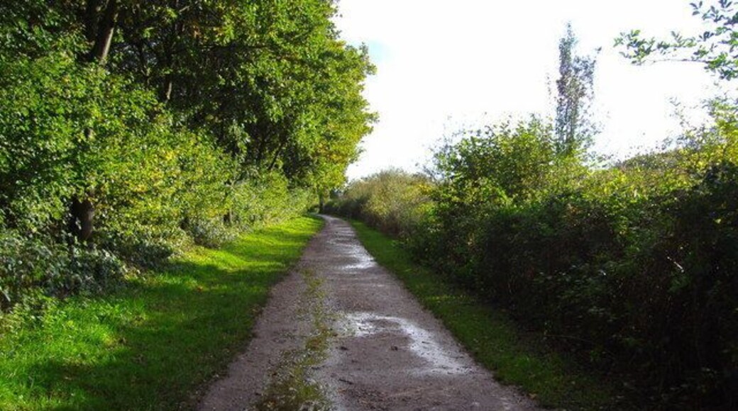 Cycleway This is the cycleway as it approaches the car park at Clayton-le-Woods. The fields and the River Lostock lie to the right, as viewed.