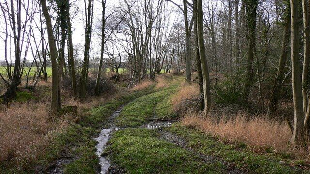 Bridleway leaving Upper Ifold Wood