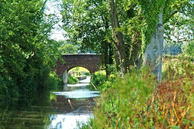 Looking west towards Drungewick Lane Bridge, Wey & Arun Canal The restored bridge takes Drungewick Lane across the canal. Drungewick Aqueduct can just be seen through the arch of the bridge. 1441949.