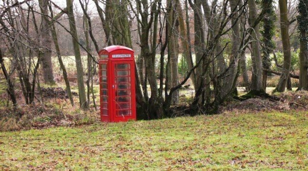 Telephone kiosk I just bet this 'phone doesn't work.