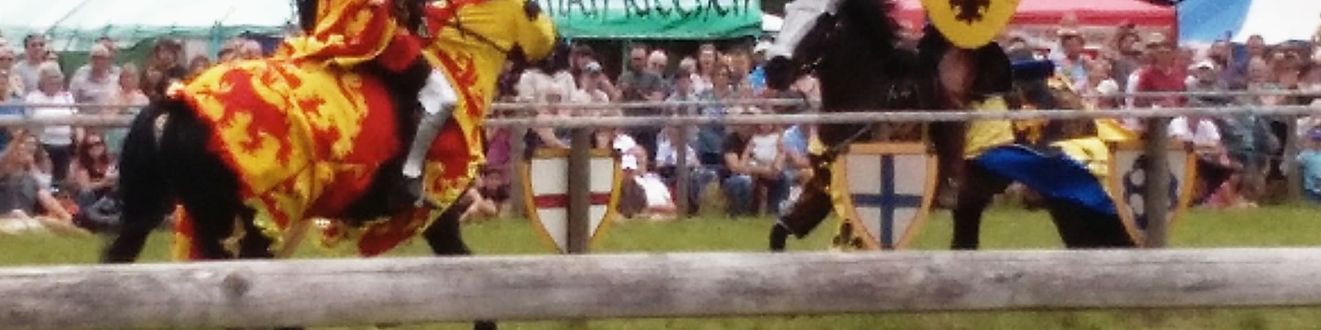 Watching the jousting weekend at Loxwood, Sussex.