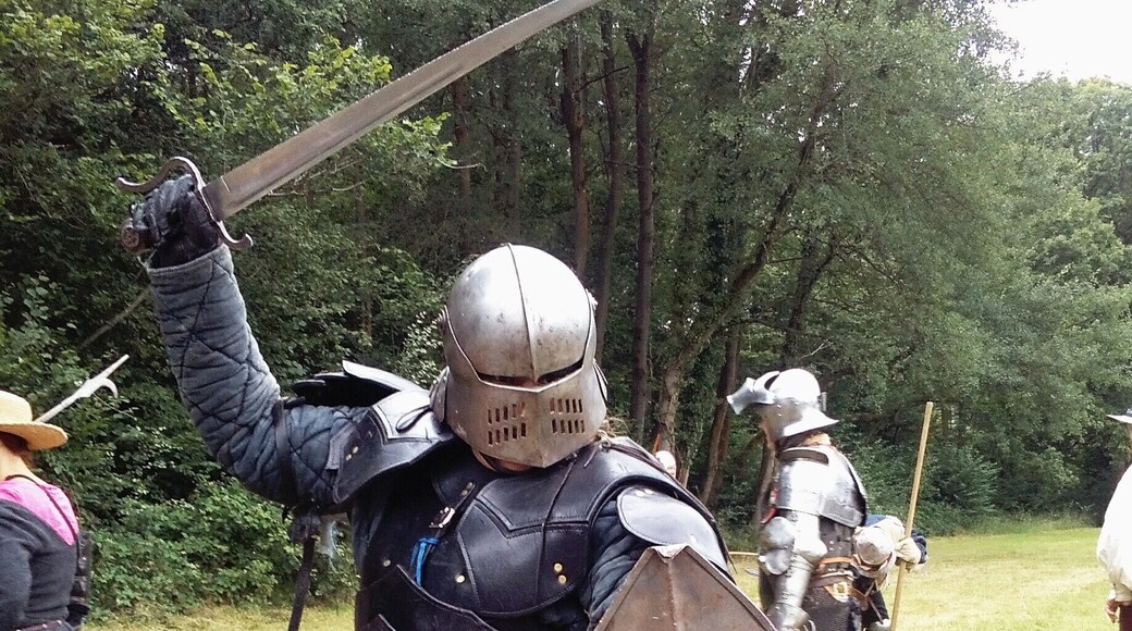 The free men of Sussex fight for freedom.