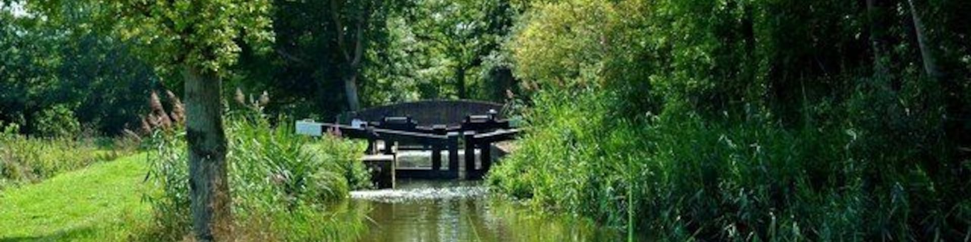Looking south to Drungewick Lock, Wey & Arun Canal The restoration of this lock was carried out over several years, with the final work being completed in 2004. The lock is now fully working, though the navigation currently only carries on for a very short distance on the far side of the lock.