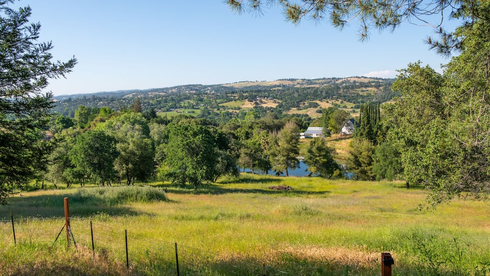 A grassy field with a fence, trees, and a distant house by a body of water.