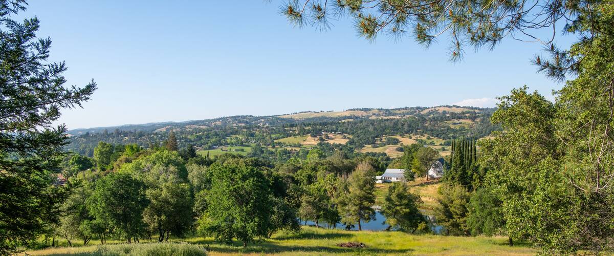 A grassy field with a fence, trees, and a distant house by a body of water.