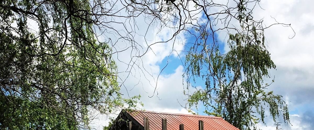 A glorious day at the Flower Farm - cafĂ©, nursery and bed & breakfast. A great place to chill and enjoy the dayâïž