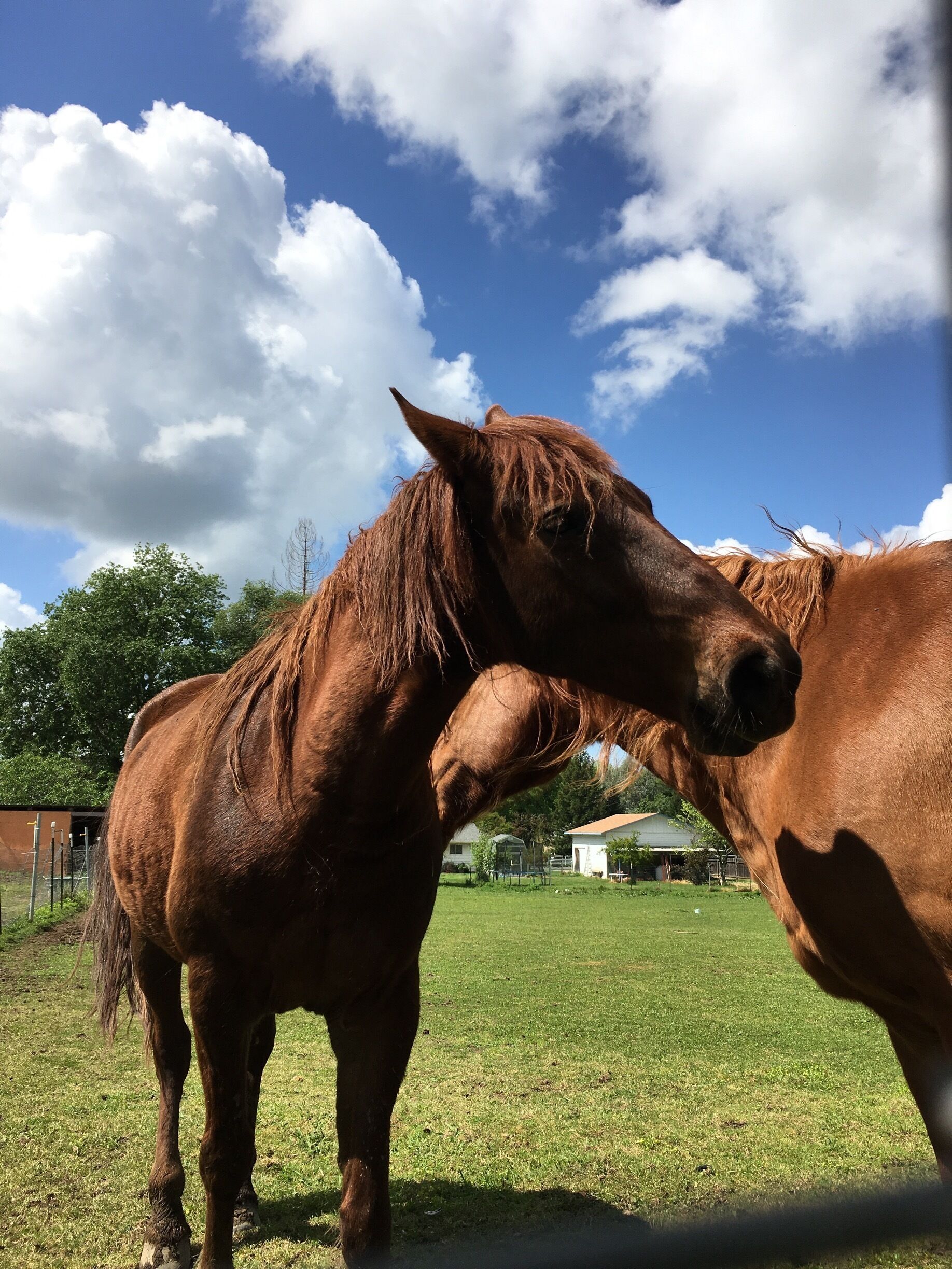 I met a few friends during my visit👍🏼