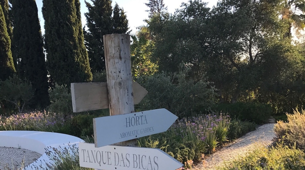 Try the outdoor theatre with Piri Piri popcorn!