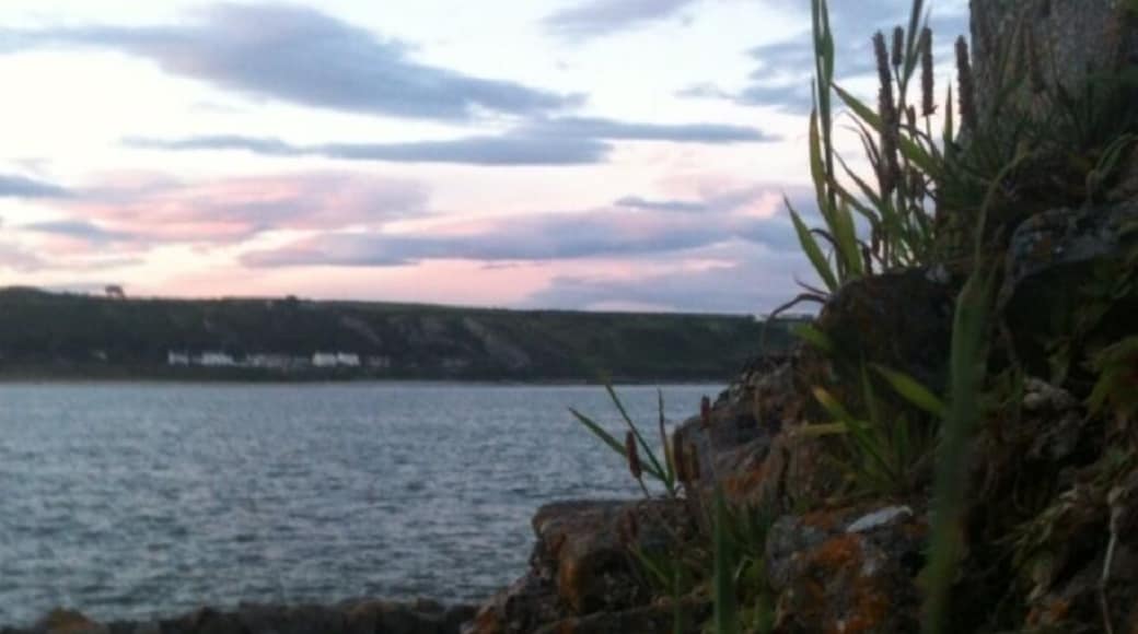 Id have to get some weed killer for the kitchen wall mind ;)