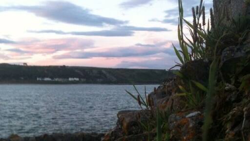 Id have to get some weed killer for the kitchen wall mind ;)