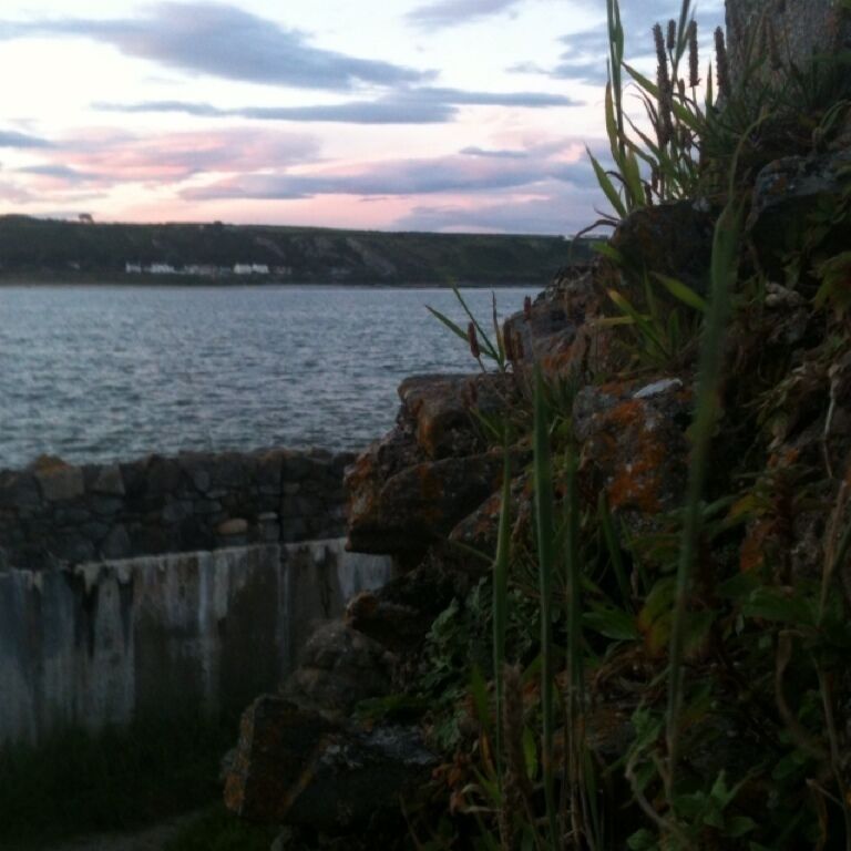 A rocky shoreline with vegetation and a body of water in the background.