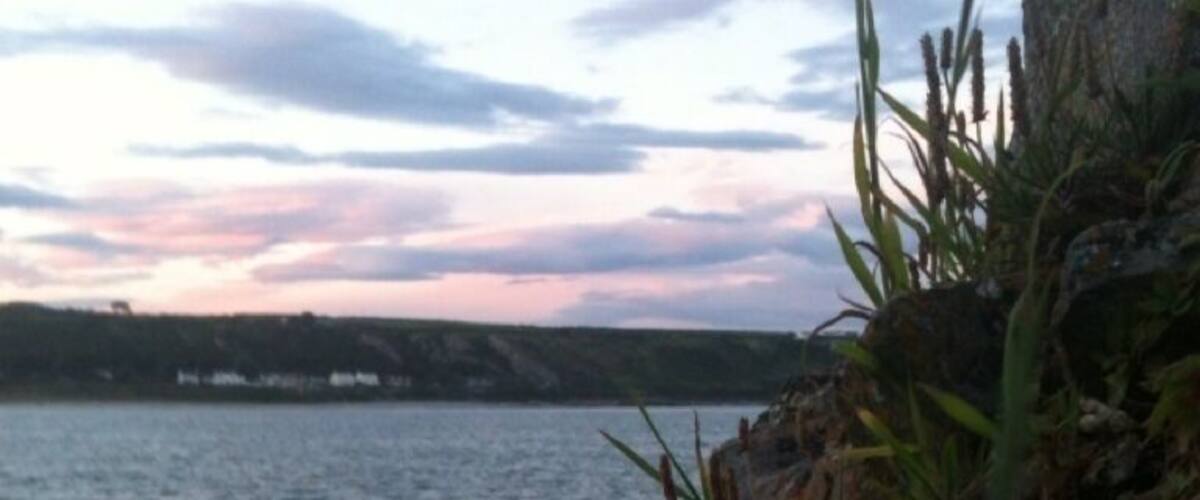 A rocky shoreline with vegetation and a body of water in the background.