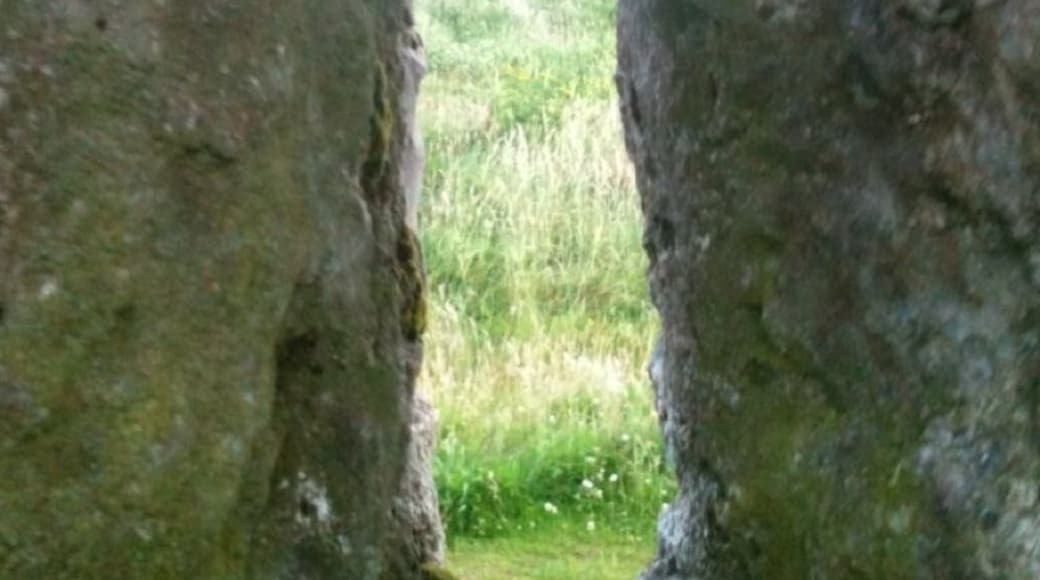 This could be the loo