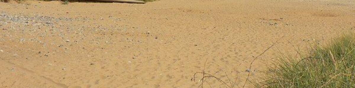 A sandy beach with a calm sea, grassy dunes, and a distant hill with houses.